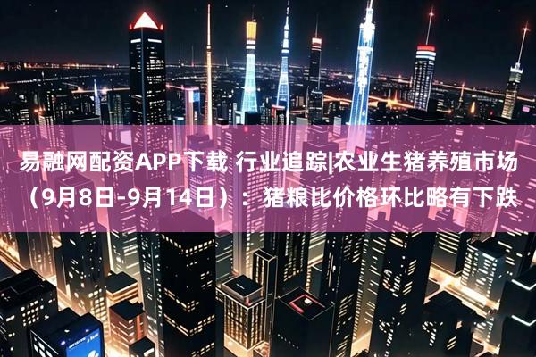 易融网配资APP下载 行业追踪|农业生猪养殖市场（9月8日-9月14日）：猪粮比价格环比略有下跌