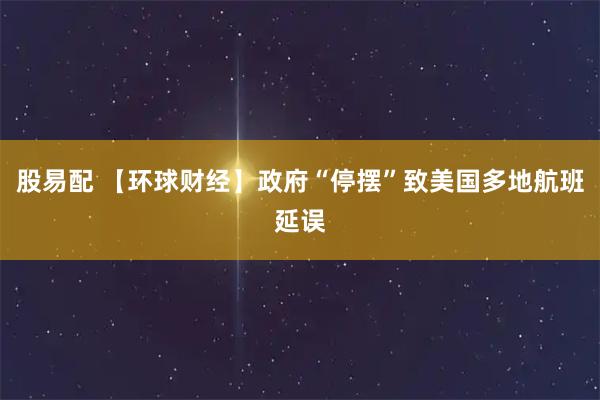 股易配 【环球财经】政府“停摆”致美国多地航班延误