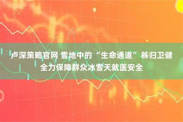 卢深策略官网 雪地中的 “生命通道” 秭归卫健全力保障群众冰雪天就医安全