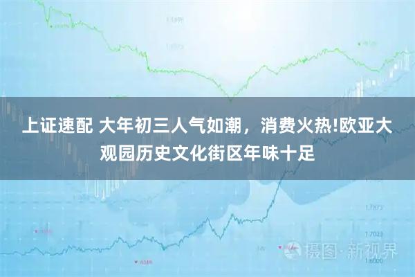 上证速配 大年初三人气如潮，消费火热!欧亚大观园历史文化街区年味十足