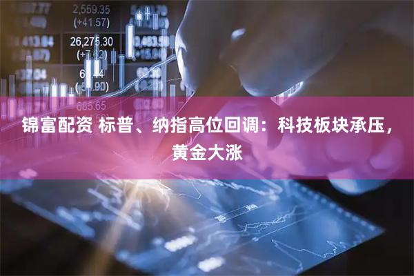 锦富配资 标普、纳指高位回调：科技板块承压，黄金大涨